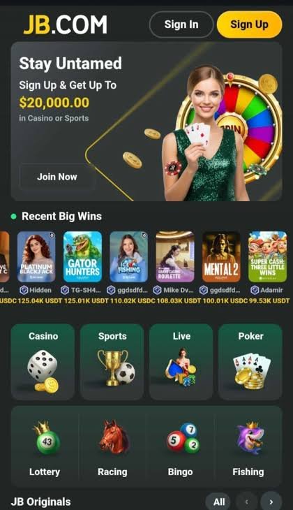 Discover JB Casino Pakistan Your Gateway to Exciting Online Gaming 1143825255