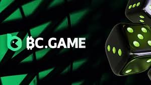 Explore the BC.Game Mobile App A Comprehensive Guide